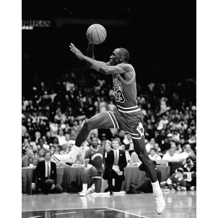 Can Michael Jordan Fly